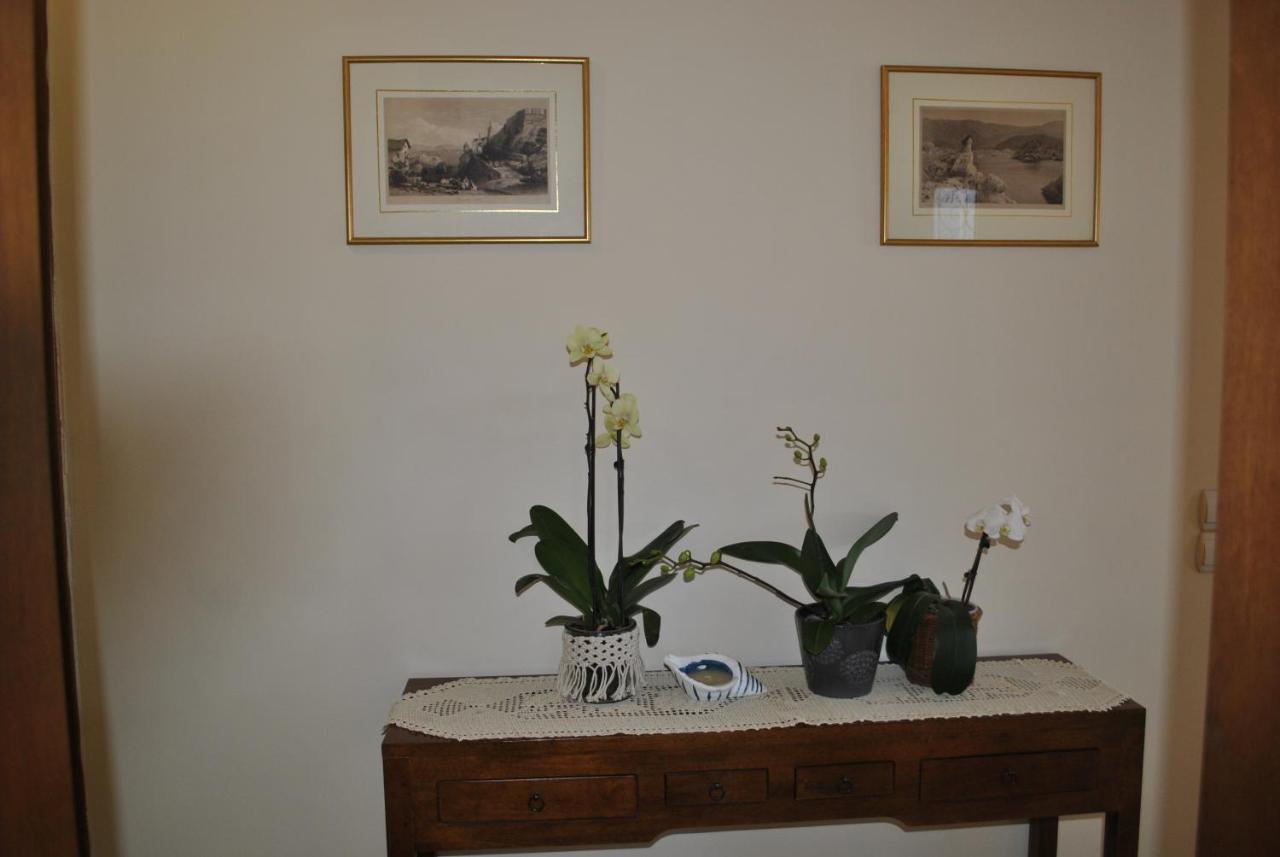 帕尔加Amaryllis House公寓 外观 照片
