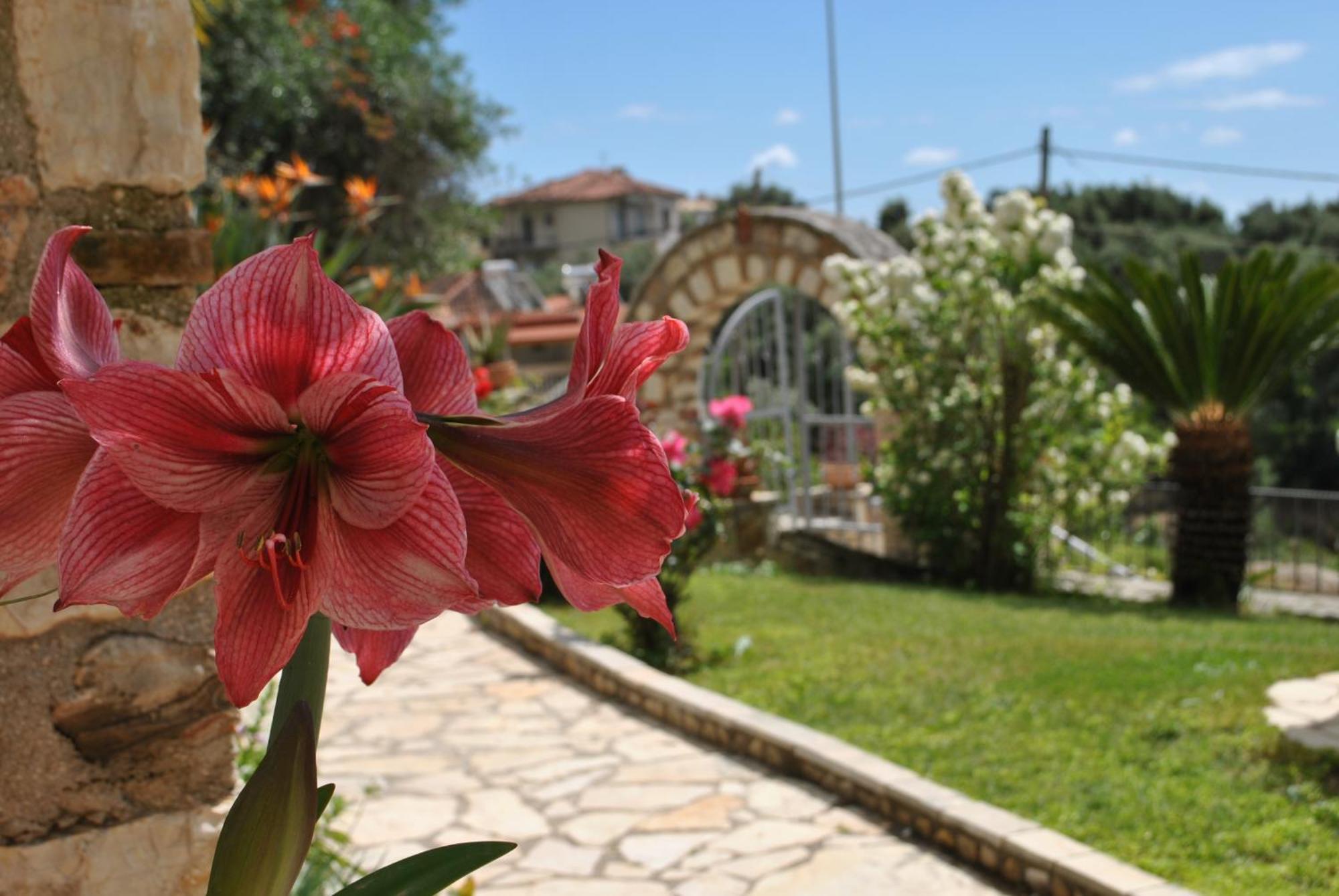 帕尔加Amaryllis House公寓 外观 照片